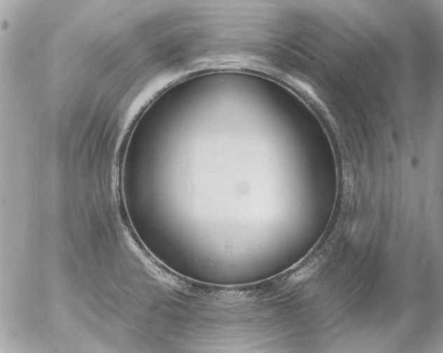 X0000055511424200508262129