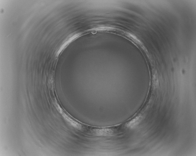 X0000055511425200508262129