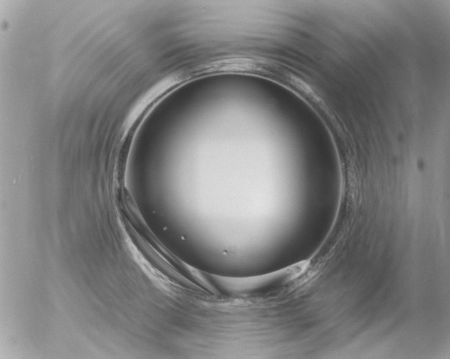 X0000055511426200508262129