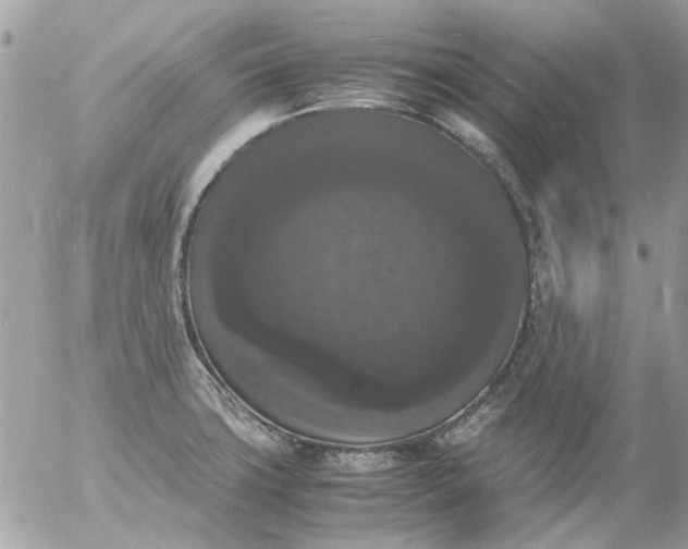 X0000055511427200508262129