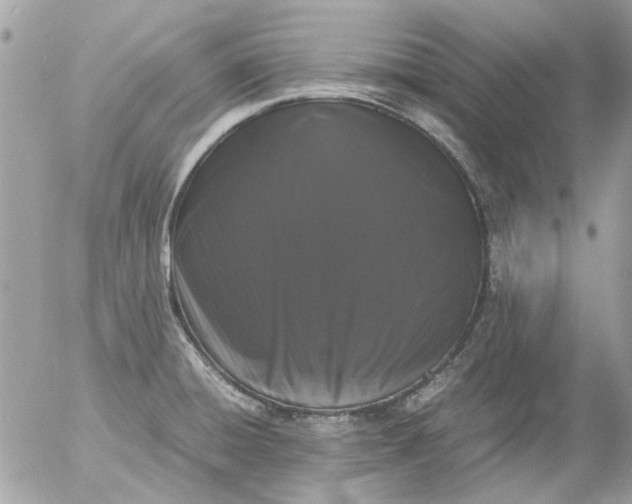 X0000055511428200508262129