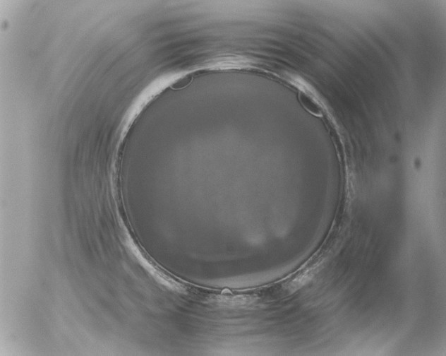 X0000055511429200508262129