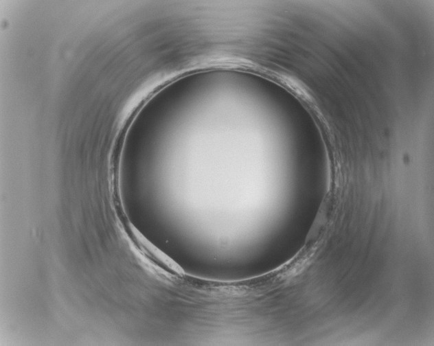 X0000055511430200508262129