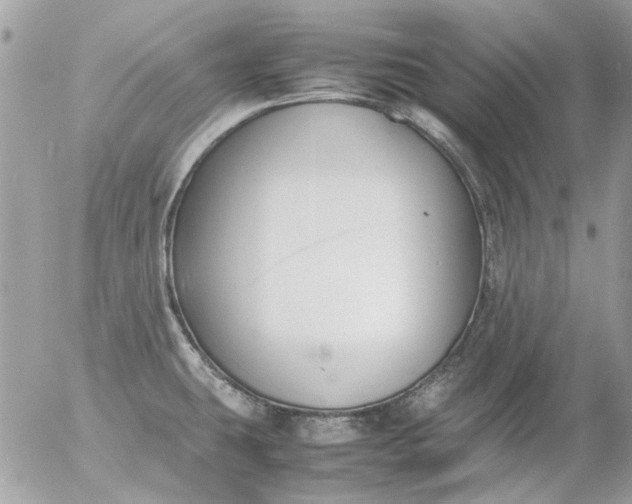 X0000055511431200508262129