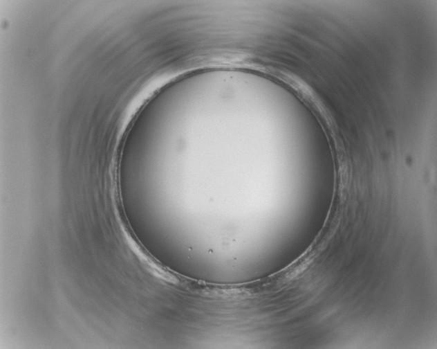 X0000055511432200508262129