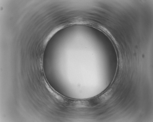 X0000055511433200508262129