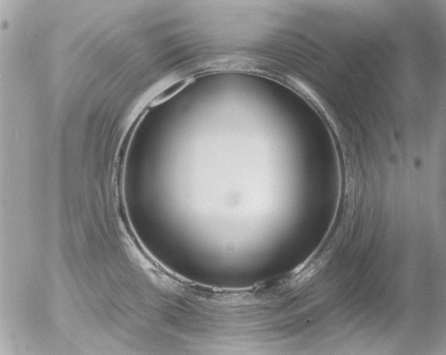 X0000055511434200508262129