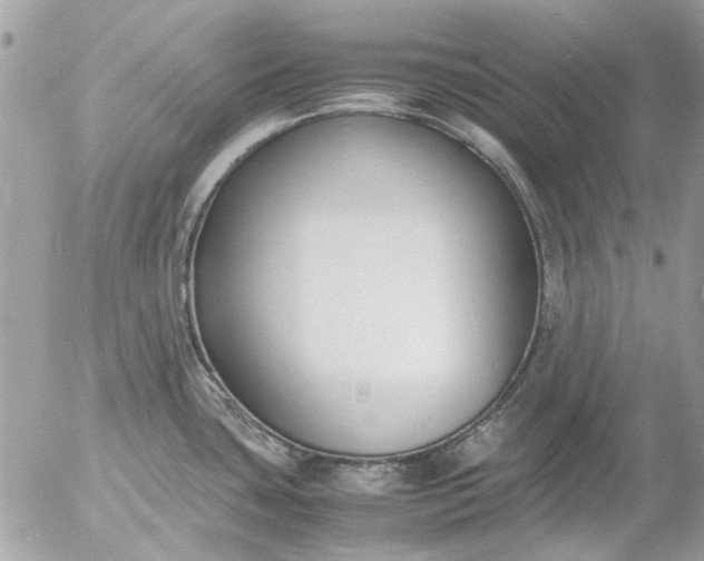 X0000055511435200508262129