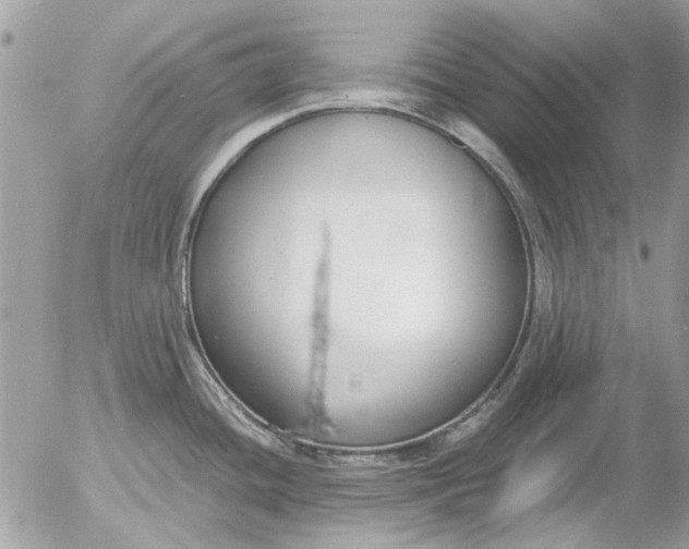 X0000055511436200508262129