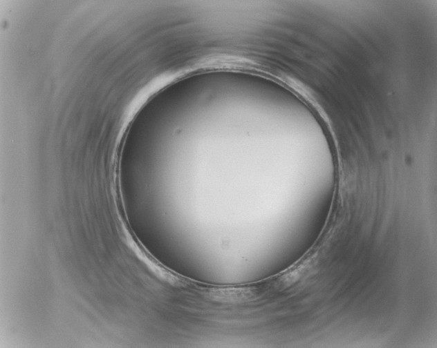 X0000055511437200508262129