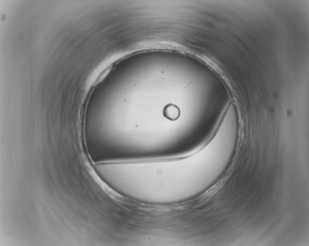 X0000055511438200508262129