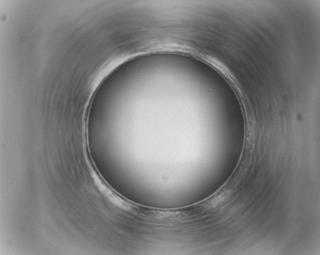 X0000055511439200508262129