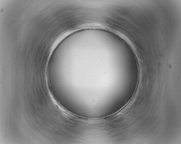 X0000055511440200508262129