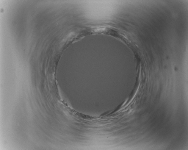 X0000055511441200508262128