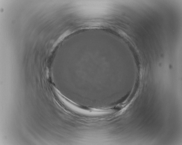 X0000055511449200508262128