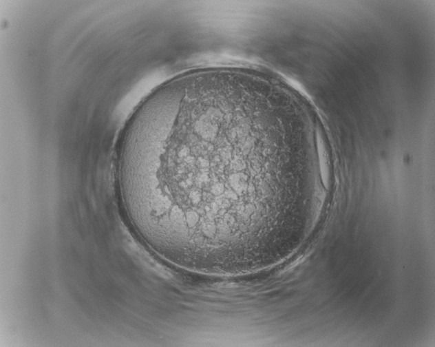 X0000055511463200508262128