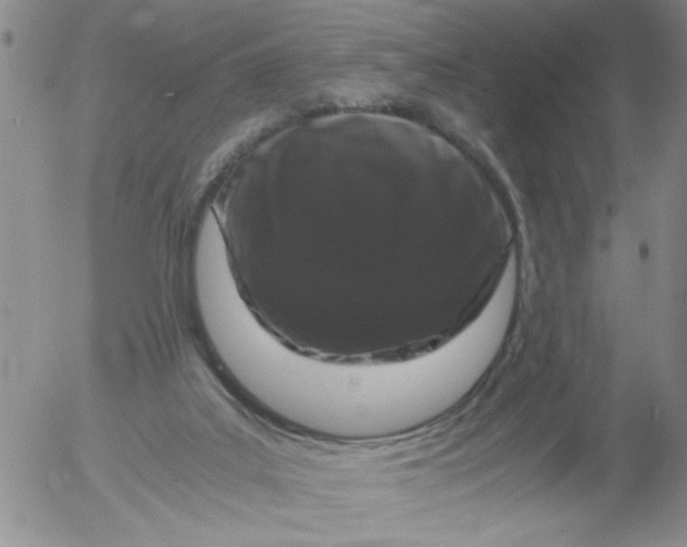 X0000055510019200509022109