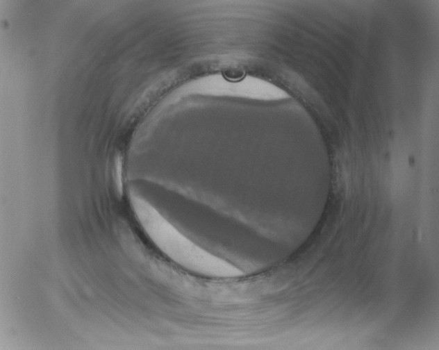 X0000055510022200509022109