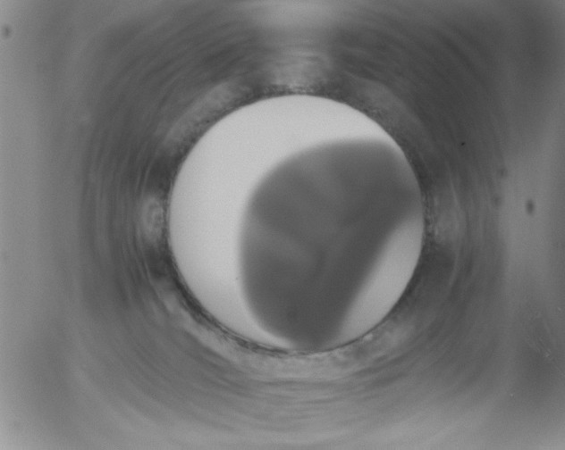X0000055510036200509022109
