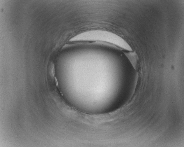 X0000055510041200509022109