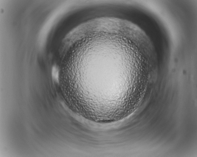 X0000055510047200509022109