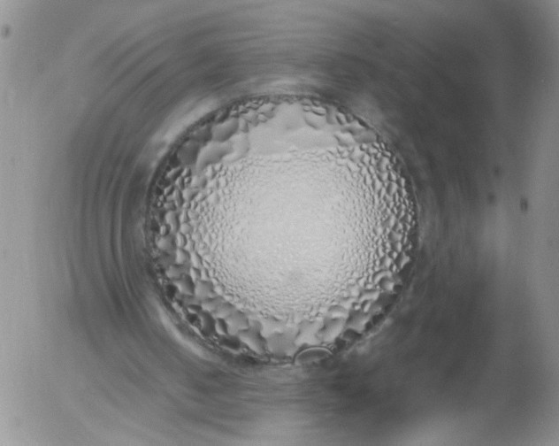 X0000055510050200509022108