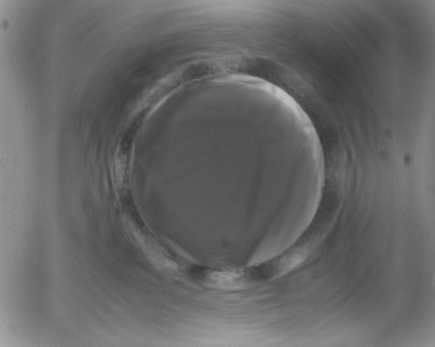 X0000055510139200509022107