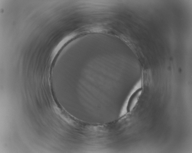 X0000055510147200509022107