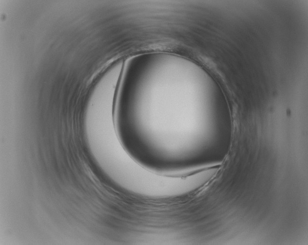 X0000055510154200509022107