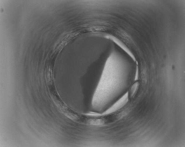 X0000055510169200509022107