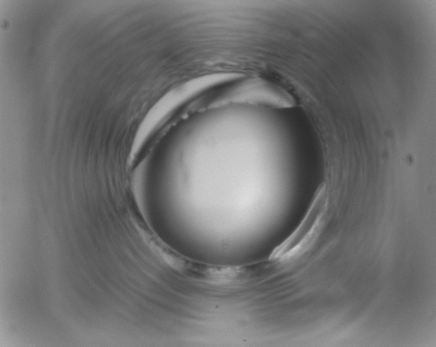 X0000055510192200509022107