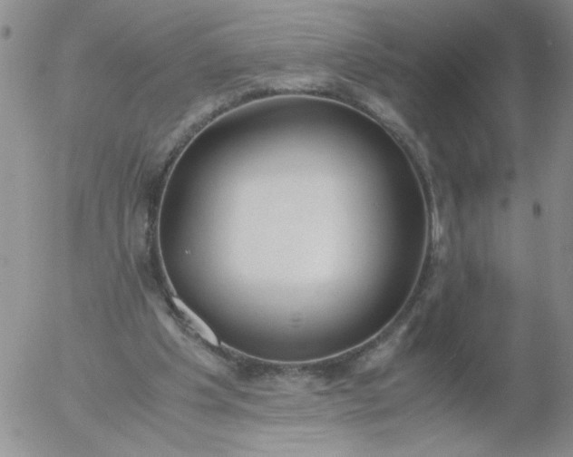 X0000055510201200509022106