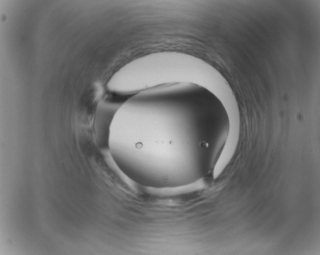 X0000055510237200509022106