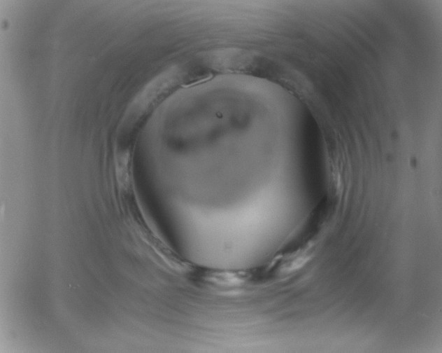 X0000055510239200509022106