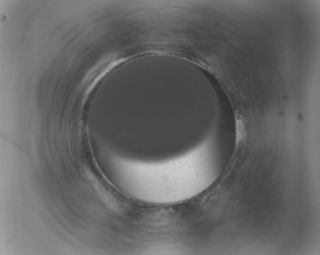X0000055510243200509022105