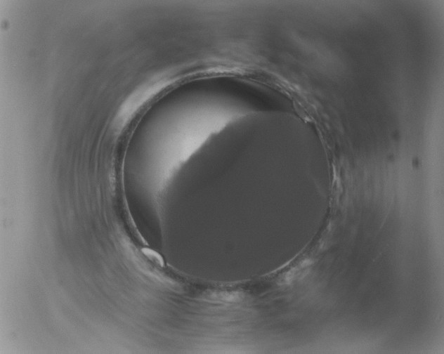 X0000055510247200509022105