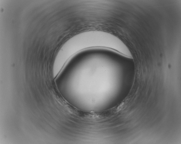 X0000055510276200509022106