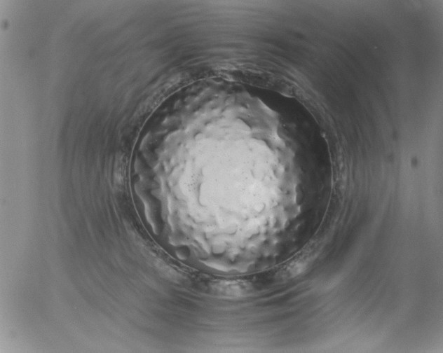 X0000055510277200509022106