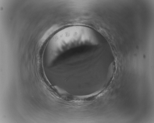 X0000055510295200509022105
