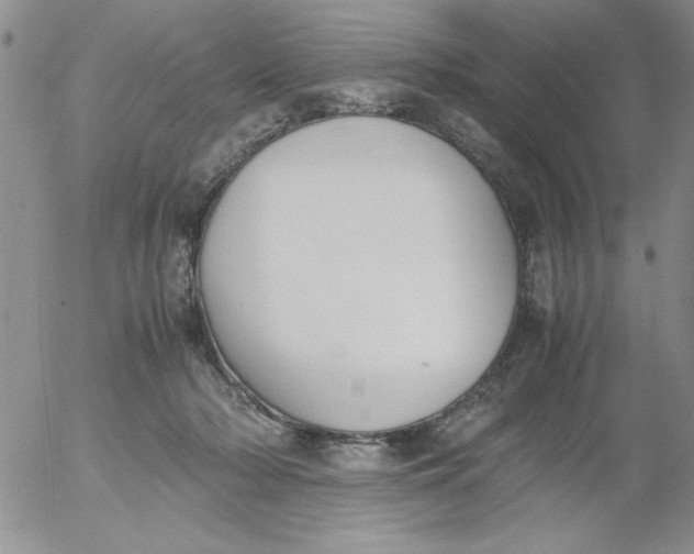 X0000055510318200509022104