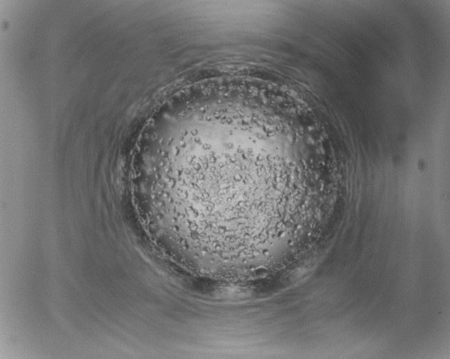 X0000055510319200509022104