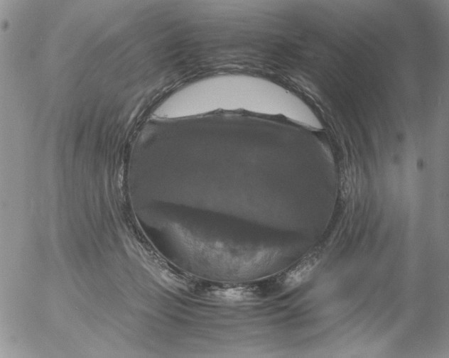 X0000055510365200509022104