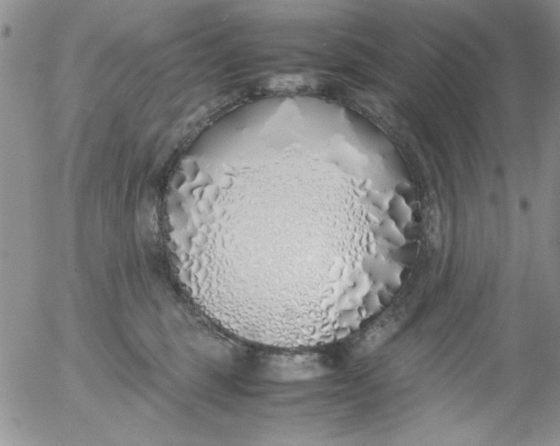 X0000055510375200509022104