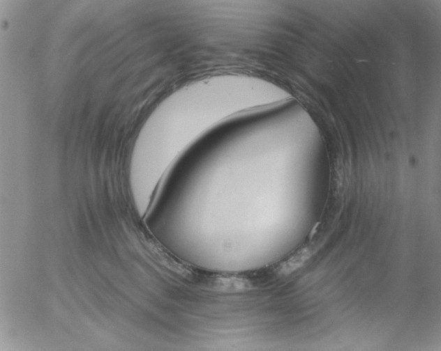 X0000055510376200509022104