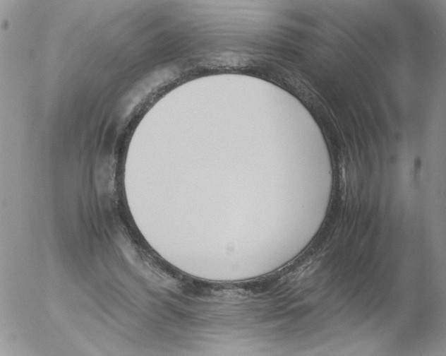 X0000055510396200509022103