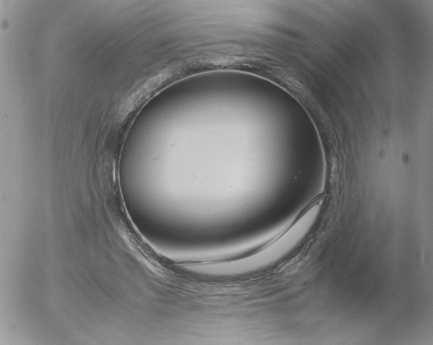 X0000055510397200509022103