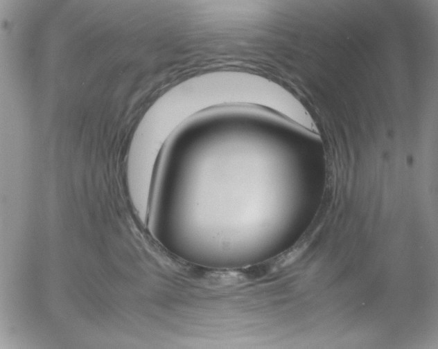 X0000055510427200509022103
