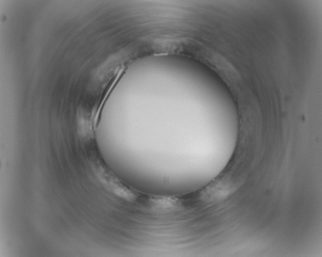 X0000055510432200509022103