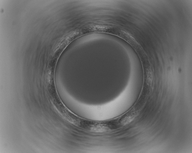 X0000055510451200509022102