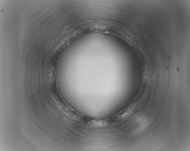 X0000055510464200509022102